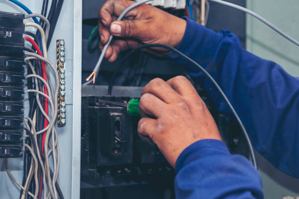 Best Electric Panel Repair  in Ellijay, GA